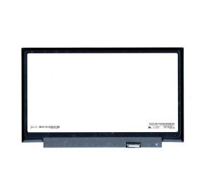 SD10M67949 Laptop Scherm